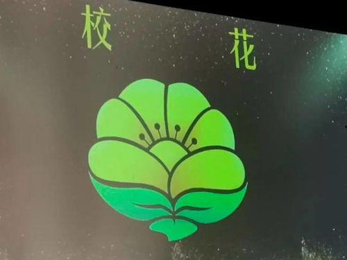 剑声小学新闻大爆料,校园新鲜事一网打尽！